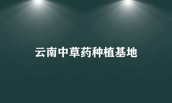 云南中草药种植基地