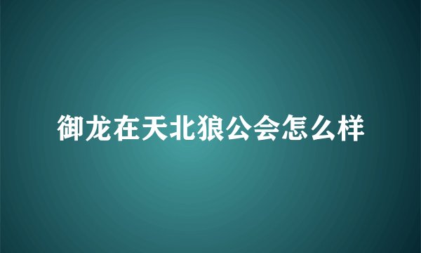 御龙在天北狼公会怎么样