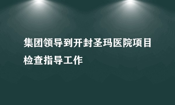 集团领导到开封圣玛医院项目检查指导工作