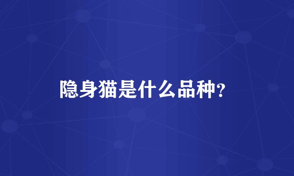 隐身猫是什么品种?