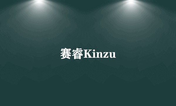 赛睿Kinzu