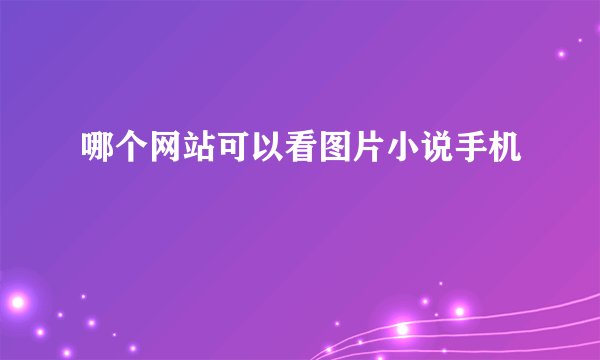 哪个网站可以看图片小说手机