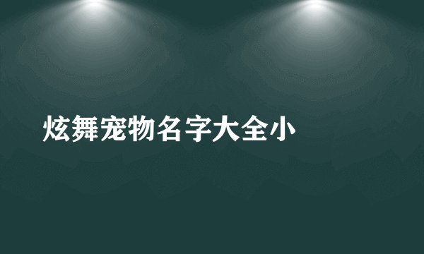 炫舞宠物名字大全小貓愛戀