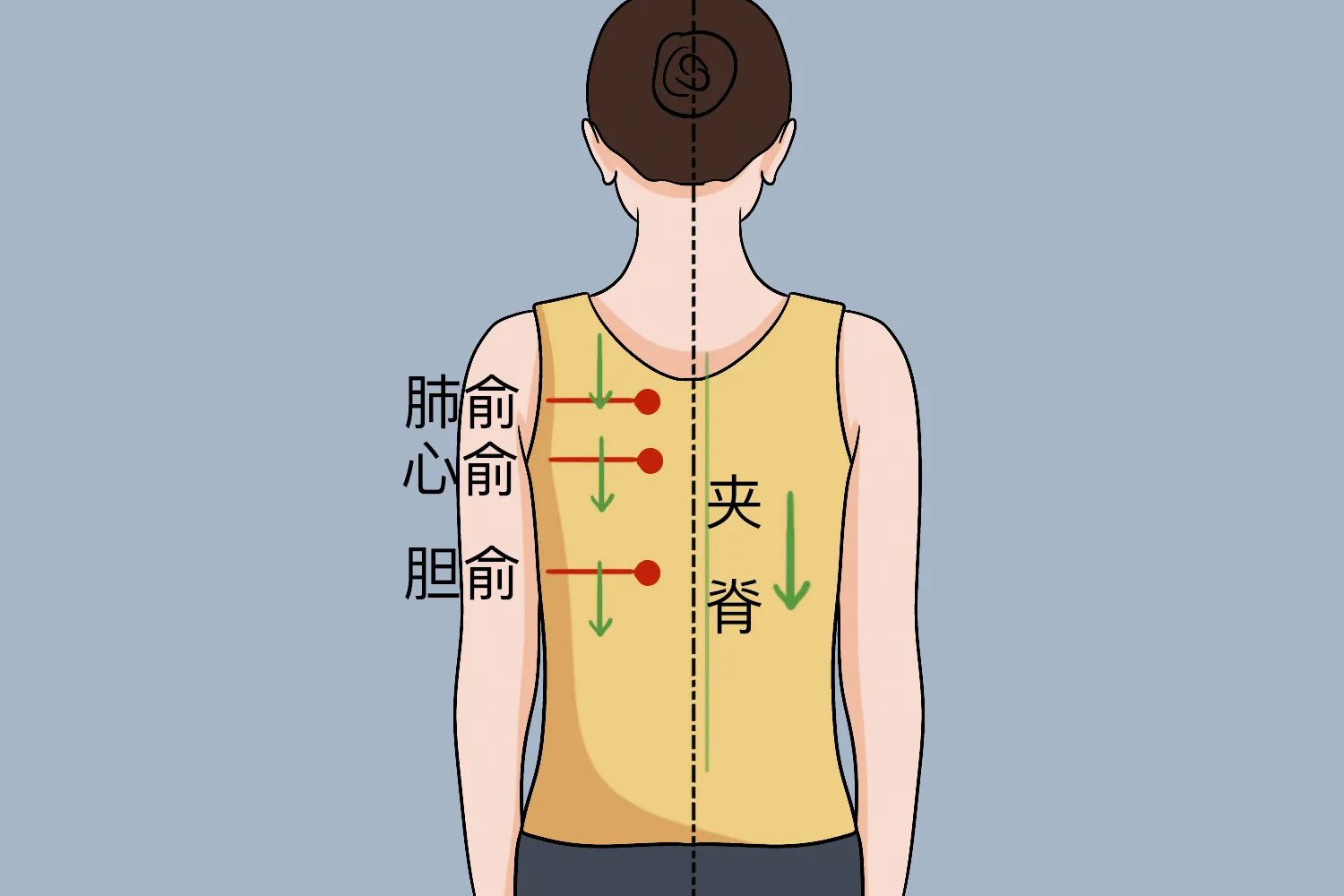 刮痧顺序和方向示意图