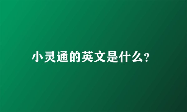 小灵通的英文是什么？