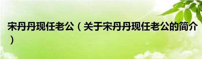 宋丹丹现任老公（关于宋丹丹现任老公的简介）