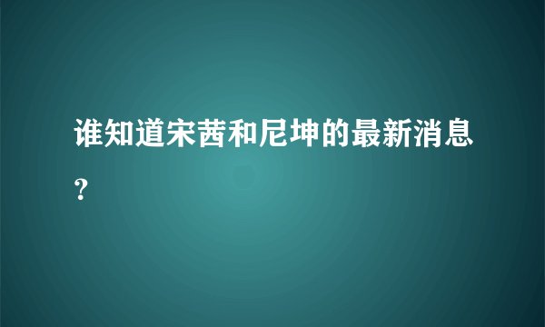 谁知道宋茜和尼坤的最新消息？
