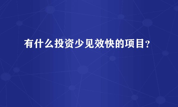 有什么投资少见效快的项目？