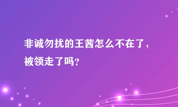 非诚勿扰的王茜怎么不在了，被领走了吗？