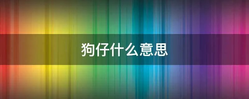 狗仔什么意思