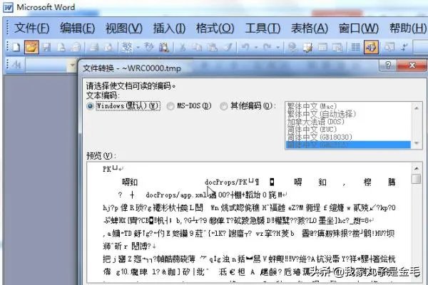Word如何下载Word2003/2007/2010/2013兼容包?