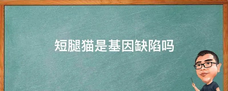 短腿猫是基因缺陷吗