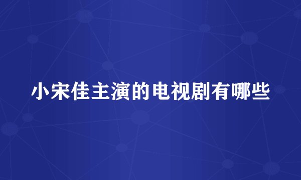 小宋佳主演的电视剧有哪些