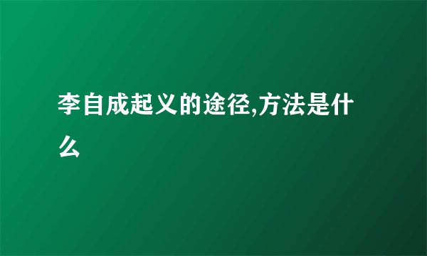 李自成起义的途径,方法是什么