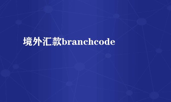 境外汇款branchcode