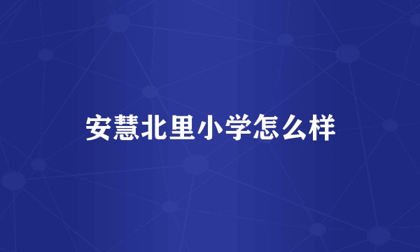 安慧北里小学怎么样