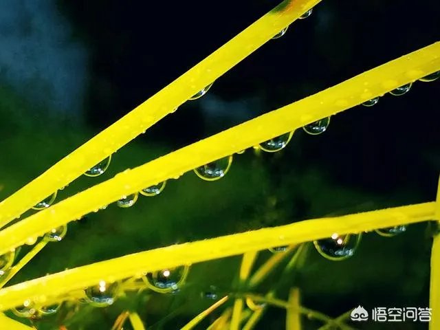 阴雨天如何拍出好照片？