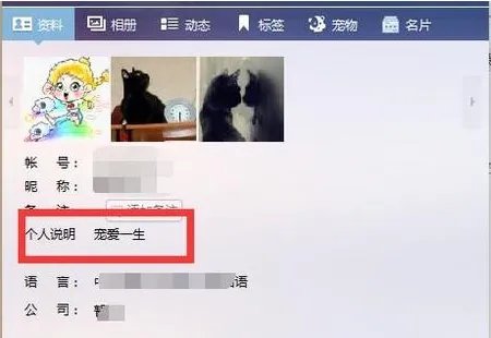 QQ的个人说明,资料怎么写?