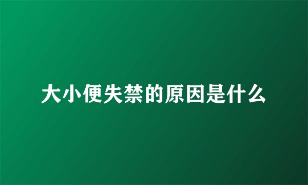 大小便失禁的原因是什么