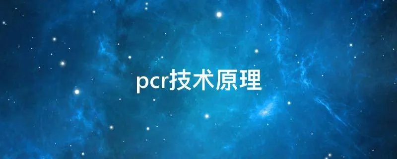 pcr技术原理