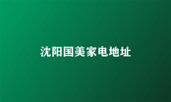 沈阳国美家电地址
