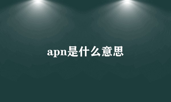 apn是什么意思