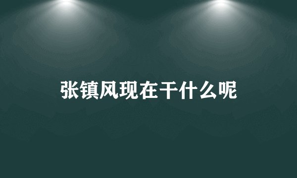 张镇风现在干什么呢
