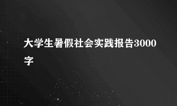 大学生暑假社会实践报告3000字