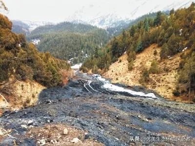 青海祁连山再次出现环境破坏事件,为什么还有人顶风作案?