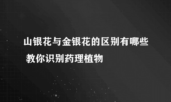 山银花与金银花的区别有哪些 教你识别药理植物