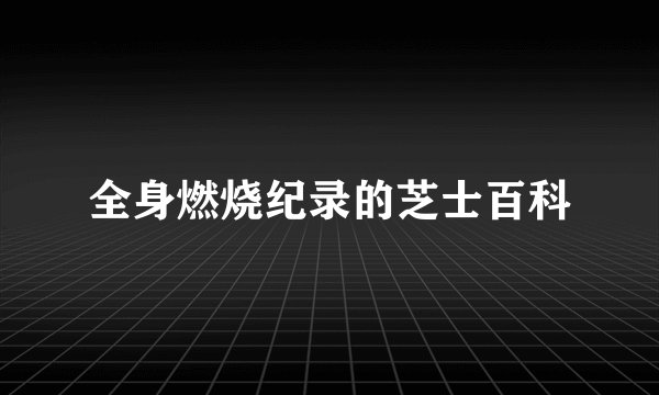 全身燃烧纪录的芝士百科