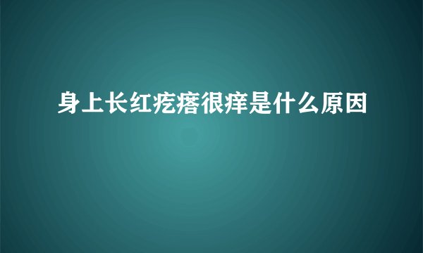 身上长红疙瘩很痒是什么原因
