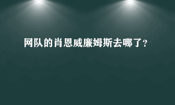 网队的肖恩威廉姆斯去哪了？