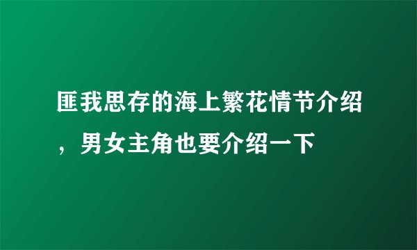 匪我思存的海上繁花情节介绍，男女主角也要介绍一下