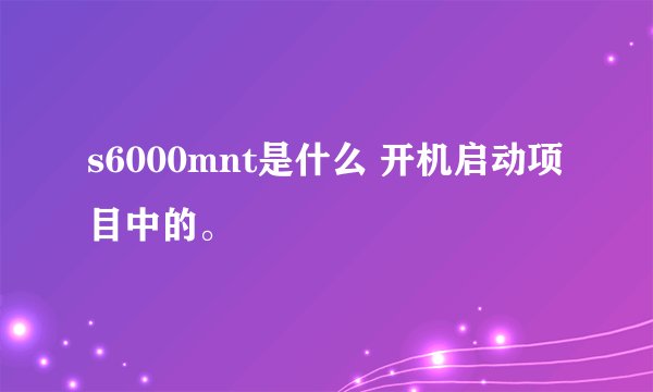 s6000mnt是什么 开机启动项目中的。