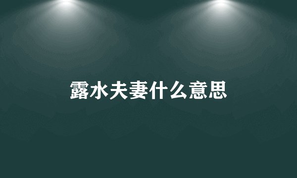 露水夫妻什么意思
