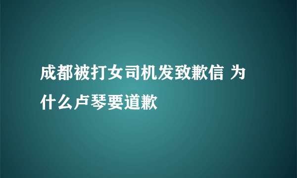 成都被打女司机发致歉信 为什么卢琴要道歉