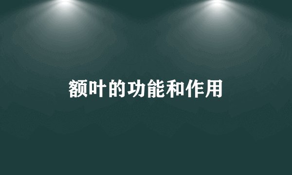 额叶的功能和作用