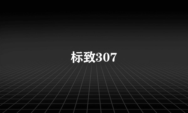 标致307