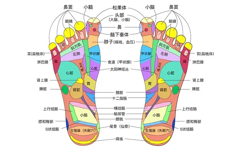 相关推荐