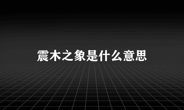 震木之象是什么意思