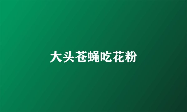 大头苍蝇吃花粉