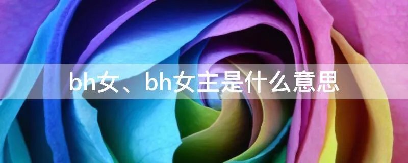 bh女是什么意思