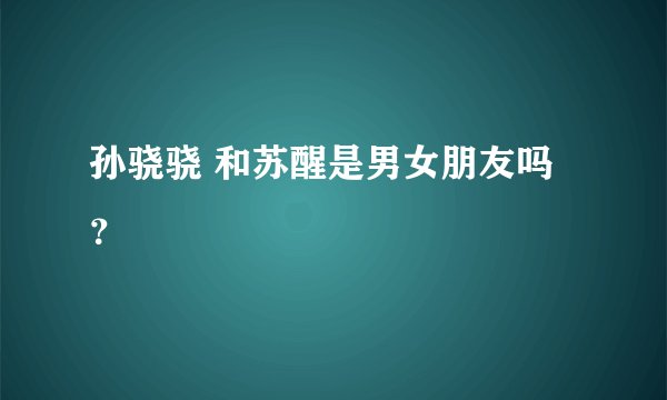 孙骁骁 和苏醒是男女朋友吗？