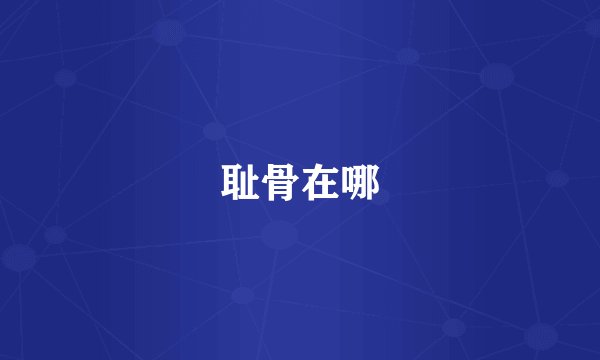 耻骨在哪