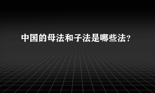 中国的母法和子法是哪些法？
