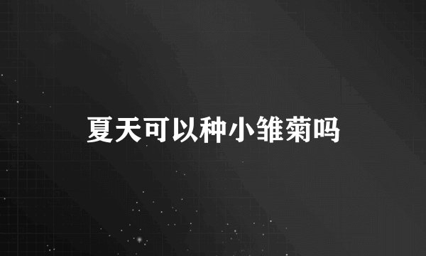 夏天可以种小雏菊吗