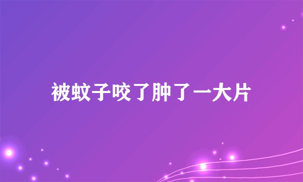 被蚊子咬了肿了一大片