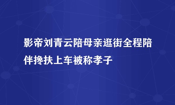 影帝刘青云陪母亲逛街全程陪伴搀扶上车被称孝子