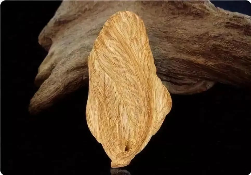 世界上最硬的10种木材你知道几种？